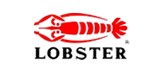 LOBSTER蝦牌鉚接工具:鉚釘槍,鉚螺母槍